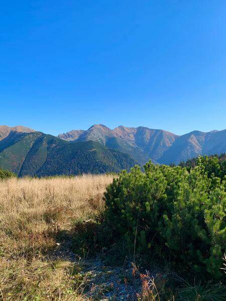 Kemp Západné Tatry